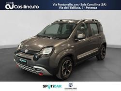 Grigio Usata 2021 Fiat Panda Cross Cross Due volumi | 12.999 € (Cara)