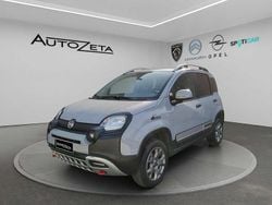 Grigio Usata 2020 Fiat Panda 4x4 S Due volumi | 13.500 € (Buon prezzo)