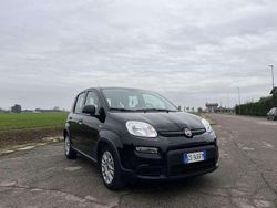 Usata 2024 Fiat Panda Due volumi | 9500 € (Ottimo prezzo)