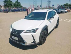 Bianco Usata 2022 Lexus UX 250h Executive Line SUV | 24.990 € (Buon prezzo)