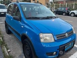 Blu Usata 2005 Fiat Panda 4x4 Climbing Due volumi | 5500 € (Molto cara)