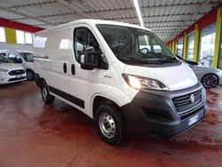 Bianco Usata 2021 Fiat Ducato Furgone | 17.900 € (Buon prezzo)