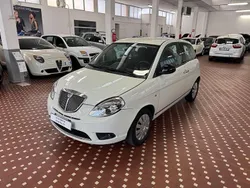 Bianco Usata 2011 Lancia Ypsilon Due volumi | 3000 € (Ottimo prezzo)