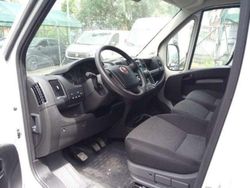 Bianco Usata 2020 Fiat Ducato Furgone | 17.990 € (Cara)