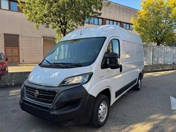 Bianco pastello Usata 2020 Fiat Ducato Furgone | 13.500 € (Buon prezzo)