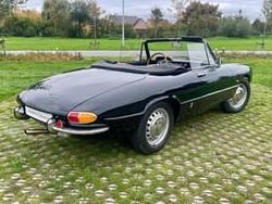 Nero Usata 1966 Alfa Romeo Spider Cabrio | 45.000 €