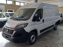 Bianco Usata 2021 Fiat Ducato Furgone | 11.790 € (Ottimo prezzo)