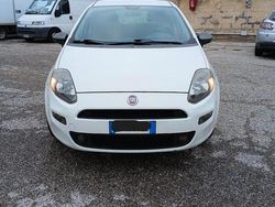 Bianco Usata 2014 Fiat Punto Lounge Due volumi | 5000 € (Molto cara)