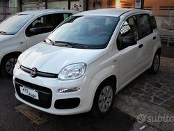 Bianco Usata 2020 Fiat Panda Easy Tre volumi | 9800 € (Buon prezzo)