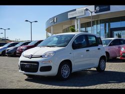 Bianco divino Usata 2024 Fiat Panda Due volumi | 13.500 € (Cara)