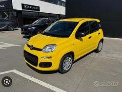 Giallo Nuova 2025 Fiat Grande Panda Due volumi | 13.500 €