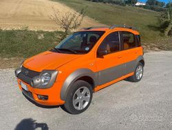 Usata 2006 Fiat Panda Cross Cross Due volumi | 5500 €