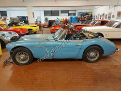 Blu/azzurro Usata 1963 Austin Healey 3000 MK II Cabrio | 20.000 €