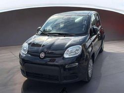 Nero Usata 2024 Fiat Panda S Due volumi | 10.500 € (Ottimo prezzo)