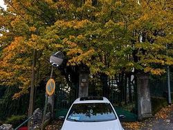 Bianco Usata 2011 VW Golf VI Due volumi | 20.000 €