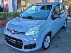 Grigio Usata 2018 Fiat Panda Easy Due volumi | 9000 € (Buon prezzo)