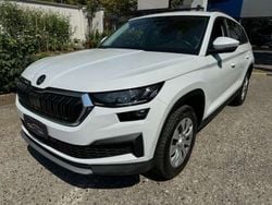 Bianco Usata 2022 Skoda Kodiaq Ambition SUV | 23.000 € (Super prezzo)