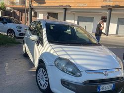 Bianco Usata 2010 Fiat Punto Evo Due volumi | 2999 € (Buon prezzo)