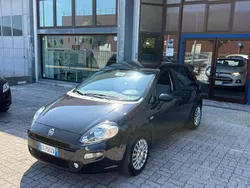 Nero Usata 2015 Fiat Punto Lounge Due volumi | 3999 € (Ottimo prezzo)