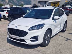 Bianco Usata 2021 Ford Kuga ST-Line SUV | 19.900 € (Super prezzo)
