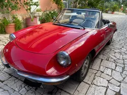 Usata 1981 Alfa Romeo Spider Cabrio | 17.000 €