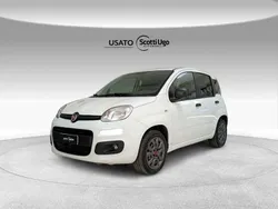 Bianco Usata 2019 Fiat Panda Lounge Due volumi | 9000 € (Buon prezzo)