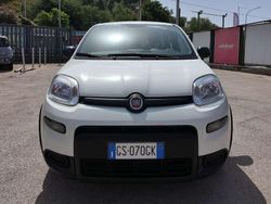 Bianco Usata 2024 Fiat Panda City Life Due volumi | 12.500 € (Buon prezzo)