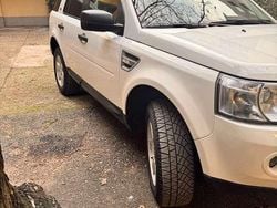 Bianco Usata 2010 Land Rover Freelander 2 SUV | 5000 € (Super prezzo)