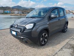 Grigio Usata 2023 Fiat Panda Cross Cross Due volumi | 13.000 €