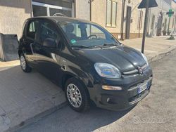 Nero Usata 2014 Fiat Panda Lounge Due volumi | 8500 € (Molto cara)