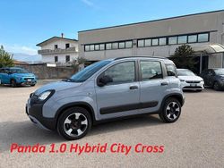 Grigio Usata 2021 Fiat Panda Cross Cross Due volumi | 11.500 € (Buon prezzo)
