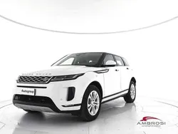 Bianco Usata 2021 Land Rover Range Rover evoque SUV | 30.800 € (Super prezzo)