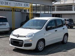 Bianco Usata 2021 Fiat Panda Easy Due volumi | 8990 € (Ottimo prezzo)
