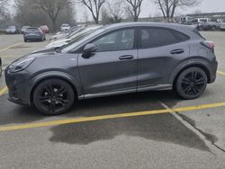 Grigio Usata 2020 Ford Puma ST-Line SUV | 18.000 € (Cara)