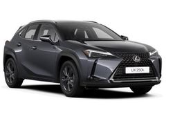 Grigio Usata 2023 Lexus UX SUV | 33.700 € (Molto cara)