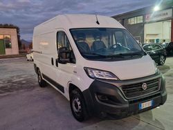 Bianco Usata 2021 Fiat Ducato Furgone | 18.000 € (Cara)
