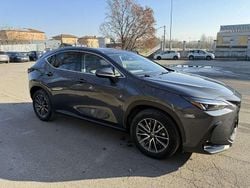 Grigio Usata 2022 Lexus NX350h SUV | 35.500 €