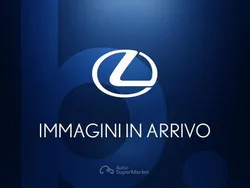 Gray Usata 2019 Lexus UX Executive Line SUV | 25.900 € (Molto cara)