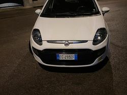 Bianco Usata 2011 Fiat Punto Evo Due volumi | 5500 € (Molto cara)