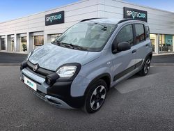 Grigio Usata 2020 Fiat Panda Cross Cross Due volumi | 11.450 € (Buon prezzo)