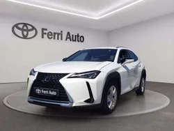 Other Usata 2020 Lexus UX 250h Business Edition SUV | 20.400 € (Super prezzo)