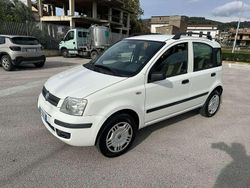 Usata 2007 Fiat Panda Dynamic Due volumi | 2599 € (Buon prezzo)