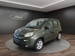 Verde Usata 2012 Fiat Panda Trekking Tre volumi | 8900 € (Molto cara)