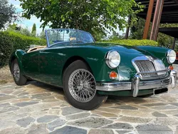 Verde Usata 1960 MG 1600 Cabrio | 34.000 €