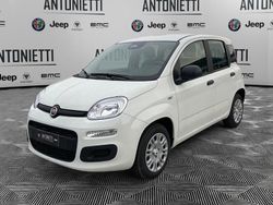 Bianco Nuova 2025 Fiat Grande Panda Icon Due volumi | 14.500 € (Buon prezzo)