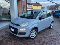 Grigio Usata 2020 Fiat Panda Easy Tre volumi | 9990 € (Buon prezzo)