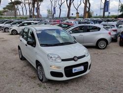 Bianco Usata 2019 Fiat Panda Easy Due volumi | 12.300 € (Molto cara)