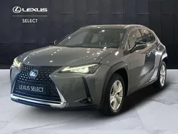 Other Usata 2020 Lexus UX 250h Business Edition SUV | 19.900 € (Buon prezzo)