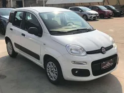 Bianco Usata 2019 Fiat Panda Easy Due volumi | 10.950 € (Cara)