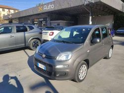 Grigio Usata 2022 Fiat Panda Due volumi | 9400 € (Buon prezzo)